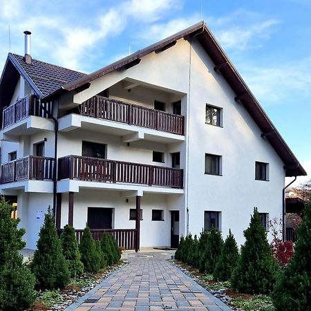 Pensiunea Izvorul Linistii Radaseni Экстерьер фото